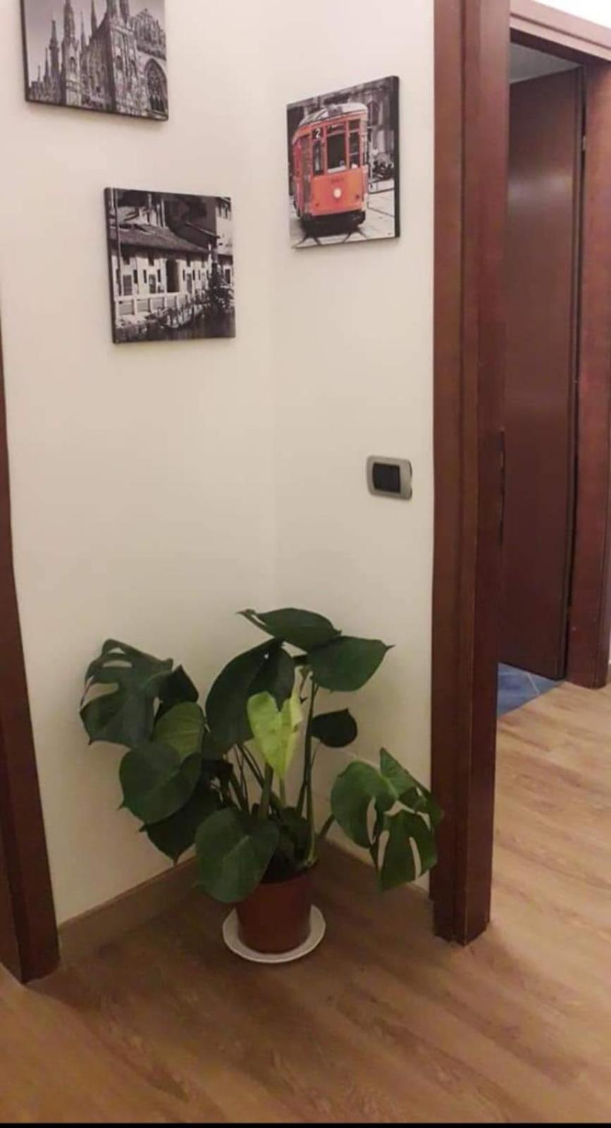 B&B Domobella -- Ripamonti / Ieo / Prada / Bocconi -- Милан Экстерьер фото